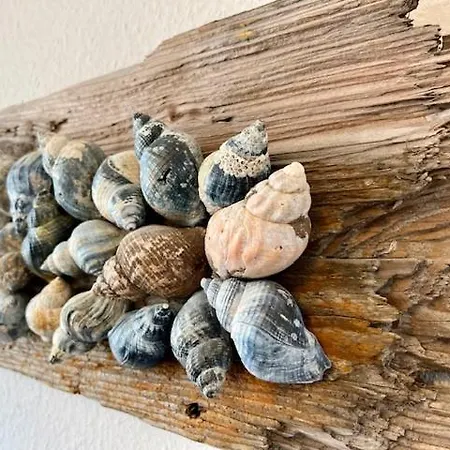 Apartmán Haus Dollart *