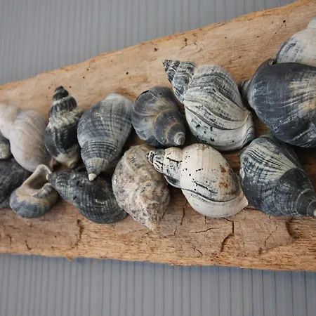 Appartamento Haus Dollart