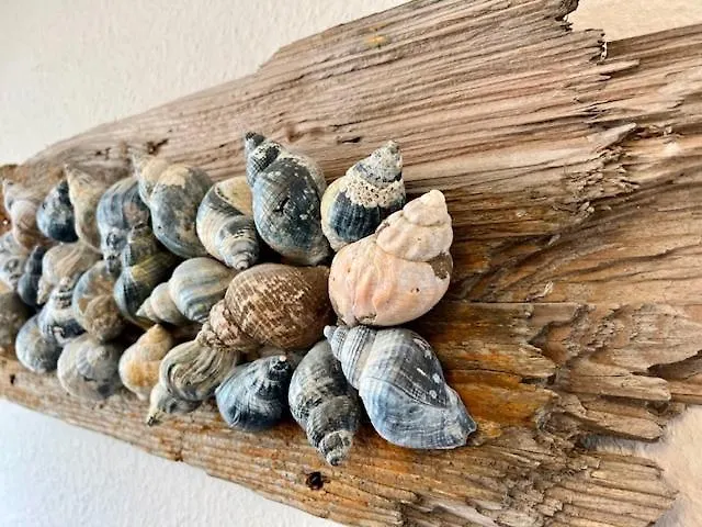 アパート Haus Dollart *